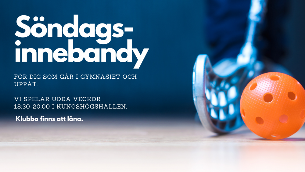 Sondagsinnebandy1.png