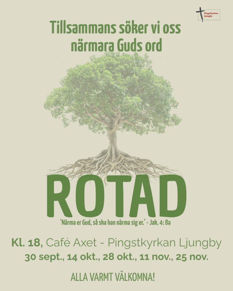 rotad2.png